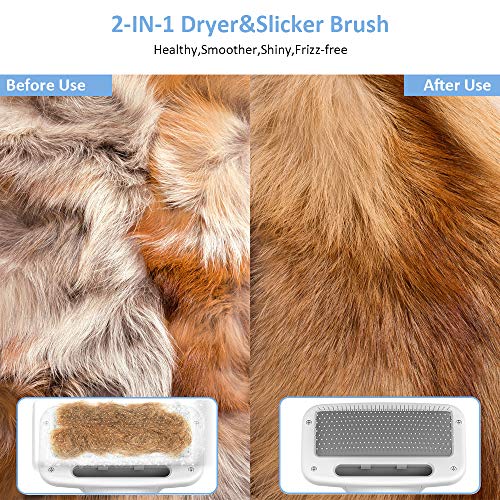 DADYPET Cepillo para Perros y Gatos, secador de Pelo para Perros y Gatos combinación de secador de Pelo y Cepillo Velocidad Ajustable Adecuado para Perros y Gatos pequeños y medianos Cable de 2m