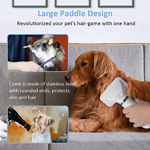 DADYPET Cepillo para Perros y Gatos, secador de Pelo para Perros y Gatos combinación de secador de Pelo y Cepillo Velocidad Ajustable Adecuado para Perros y Gatos pequeños y medianos Cable de 2m