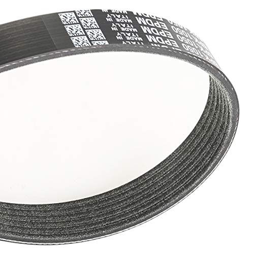 DAYCO 6PK1050S Correa trapecial Poli V