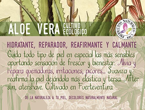 Decolores, Gel de Aloe Vera Puro - Cultivo ecológico, procedente de Fuerteventura 500 ml