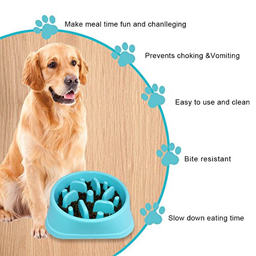 Decyam Comedero de Perros para ralentizar la Comida, Divertida búsqueda de alimento