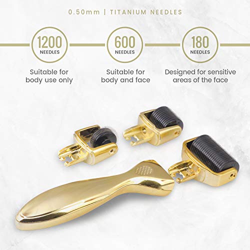 Dermaroller Titanio 3 en 1 Eco Masters - 3 Rodillos de Titanio Para Ojos, Cara y Cuerpo - Reduce Imperfecciones, Arrugas, Acné, Estrías y Cicatrices - Micro agujas 0.5 mm, Ideal Para Poros Dilatados
