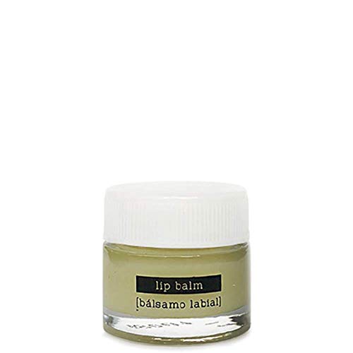 DETOX SKINFOOD - Bálsamo labial - Repara y protege tus labios contra los elementos, nutre profundamente los labios secos dejándolos saludables - Vegan Beauty Cosmetic 10ml