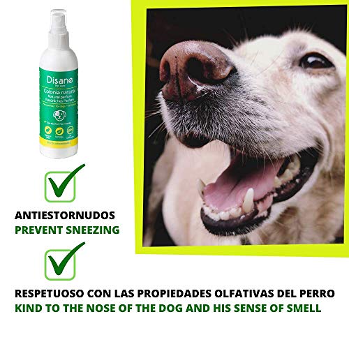 DISANE Colonia para Perros Natural | 125ml | Sin Químicos, Sin Alcohol | pH Equilibrado | Efecto Desodorante | Anti-Estornudos