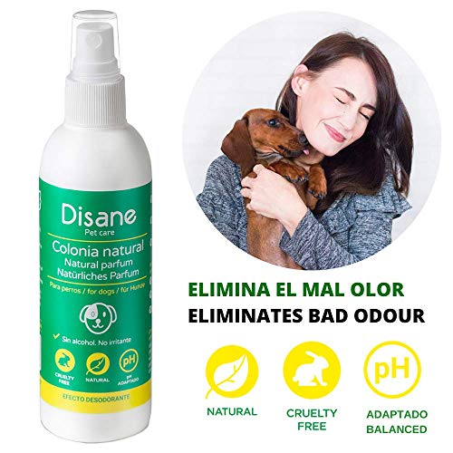 DISANE Colonia para Perros Natural | 125ml | Sin Químicos, Sin Alcohol | pH Equilibrado | Efecto Desodorante | Anti-Estornudos