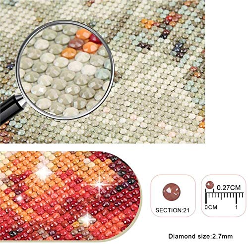 Diy 5D Diamond Pintura por Números Kits de bordado Calle paris,Niño Adultos Través Cristal Diamante Imitación Artístico Dibujo para Sala Hogar Decoración 30 x 40cm