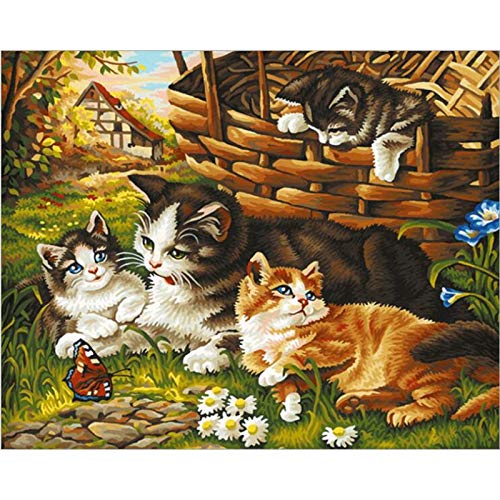 DIY Pintar por Números para Adultos E Niños - Kit De Pintura Al Óleo Digital para Decoración De Pared Gran Regalo para Tus Familiares Y Amigos 40*50 Cm -Gato(Sin Marco)