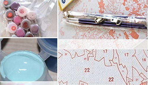 Diy Pintar por Numeros para Adultos Niños Pintura Números con Pinceles y Pinturas Decoraciones para el Hogar - Lichis frescos- Con marco -16x20 pulgadas