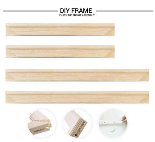 Diy Pintar por Numeros para Adultos Niños Pintura Números con Pinceles y Pinturas Decoraciones para el Hogar - Lichis frescos- Con marco -16x20 pulgadas