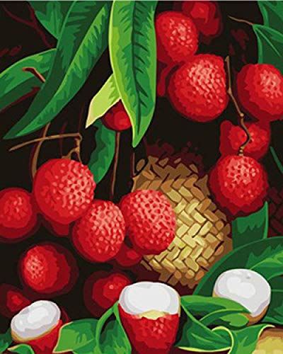 Diy Pintar por Numeros para Adultos Niños Pintura Números con Pinceles y Pinturas Decoraciones para el Hogar - Lichis frescos- Con marco -16x20 pulgadas