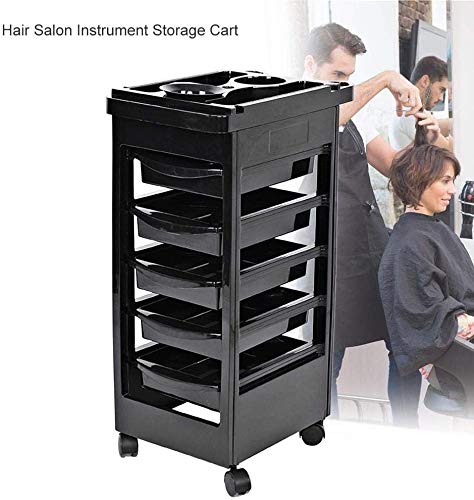 Dljyy Multifuncional Profesional de peluquería Carro con 5 cajones de Pelo del salón de Belleza de Maquillaje del Balneario