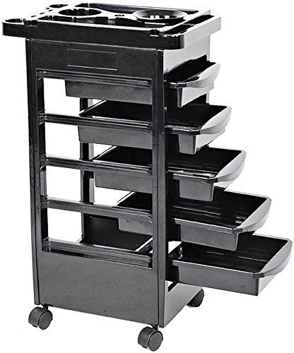 Dljyy Multifuncional Profesional de peluquería Carro con 5 cajones de Pelo del salón de Belleza de Maquillaje del Balneario