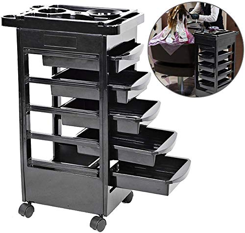 Dljyy Multifuncional Profesional de peluquería Carro con 5 cajones de Pelo del salón de Belleza de Maquillaje del Balneario