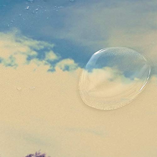 Donola Private Resort - Juego de Cortina de Ducha con Alfombrillas de baño, Alfombra de baño, tapete para decoración de baño – 60 x 72 Pulgadas, 23.6 x 15.7 Pulgadas