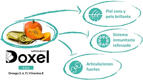Doxel 4all-250ml Aceite para Perros| Suplemento Natural | Sistema Inmunitario Reforzado| Articulaciones sanas| Pelo Brillante| Piel Sana| Ácidos grasos Omega 3 6 9| Vitamina E| Alergias Perro|Natural