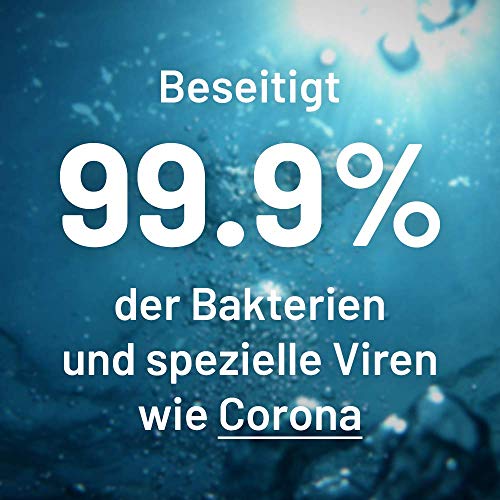 Dulgon El gel hidroalcoholico manos de las manos elimina el 99% de las bacterias y virus especiales - 12 paquetes de desinfectante manos puro 300 ml bactericida y virucida limitado con un dispensador