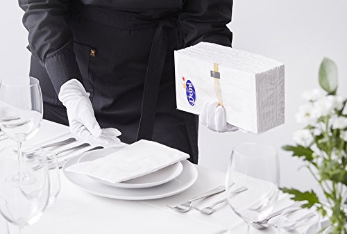 Duni 171664 Elegance - Servilletas (tamaño grande, predobladas, 40 x 40 cm, 240 unidades), color blanco