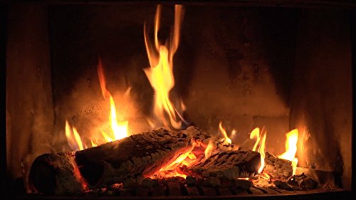 DVD de fuego y pescado fresco DVD - 2 DVD Set chimenea y agua dulce - Una combinación relajante de acogedoras chimeneas y refrescantes acuarios 2016