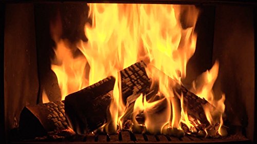 DVD de fuego y pescado fresco DVD - 2 DVD Set chimenea y agua dulce - Una combinación relajante de acogedoras chimeneas y refrescantes acuarios 2016