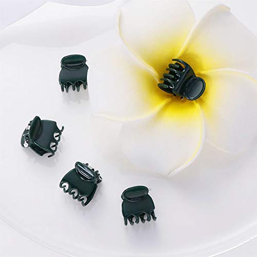 Dylan-EU 200 Piezas Clip de Planta 2 Estilos Clip de Orquídea Clip de Jardin Clip de Planta de Soporte Adecuado para Tomates, Pepinos, Uvas, Soja, Orquídeas y Otras Plantas - Verde