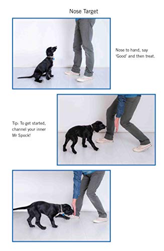 Easy Peasy Puppy Squeezy: Your simple step-by-step guide to raising and training a happy puppy