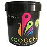 ECOCCEL Pintura plastica, pintura pared, pintura pared interior, pintura colores, pintura blanca, pintura exterior, pintura ECOLOGICA, ECOCCEL 14LT (22 Kg, Blanco)