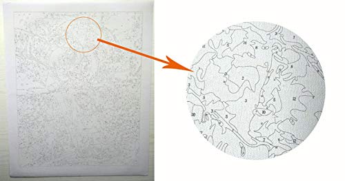 Eileen Ford Marco DIY águila Animales DIY Pintura por números Imagen de acrílico Arte de la Pared Pintura de la Lona decoración del hogar 40x50cm-40cmx50cm DIY Enmarcado