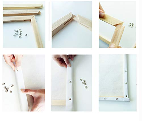 Eileen Ford Marco DIY águila Animales DIY Pintura por números Imagen de acrílico Arte de la Pared Pintura de la Lona decoración del hogar 40x50cm-40cmx50cm DIY Enmarcado