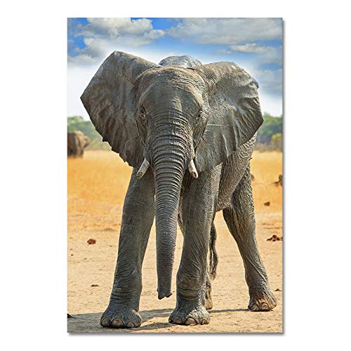 Elefante de arte animal africano salvaje cielo azul lienzo pintura cartel e impresión imagen de arte de pared para sala de estar hogar pintura decorativa sin marco A58 50x70cm
