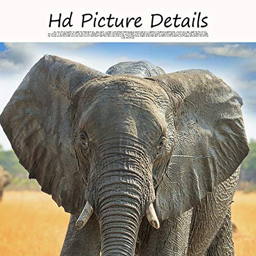 Elefante de arte animal africano salvaje cielo azul lienzo pintura cartel e impresión imagen de arte de pared para sala de estar hogar pintura decorativa sin marco A58 50x70cm