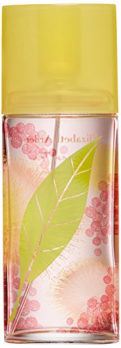 Elizabeth Arden, Agua de perfume para mujeres - 100 ml (0085805199425)