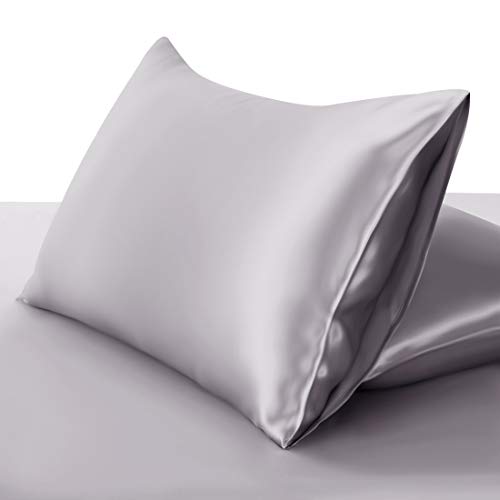 ElleSilk 100% Seda Funda de Almohada, 22 Momme, Seda de Morera de Grado Superior, Tinte Natural, Anti Sueño Pliegue, 50 x 75cm, Argento