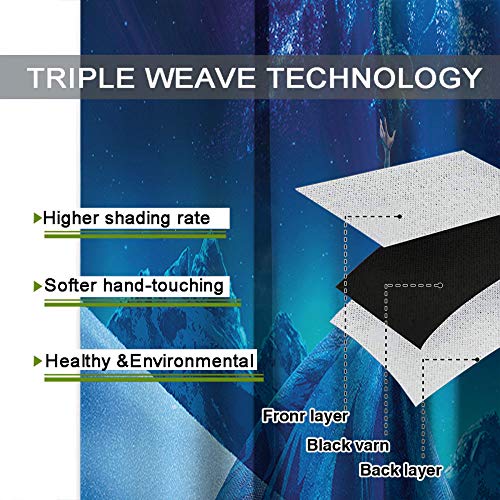 Elliot Dorothy Frozen Elsa and Anna - Cortinas decorativas para sala de estar, oscurecimiento, cortinas anchas para dormitorio, sala de estar cocina W63 x L72