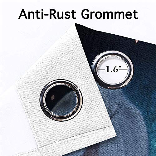 Elliot Dorothy Frozen Elsa and Anna - Cortinas lavables, para oscurecimiento de habitación (55 x 45 cm)