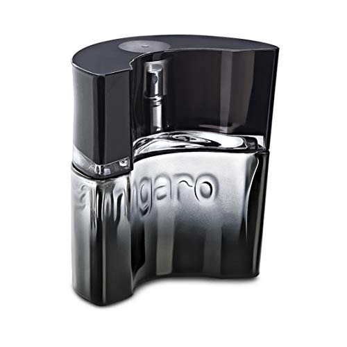 Emanuel Ungaro Masculin - Eau de Toilette - 30 ml