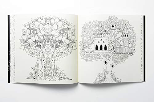 Enchanted Forest. An Inky Quest And Colouring Book
