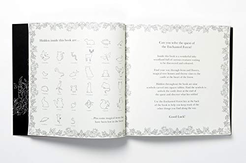Enchanted Forest. An Inky Quest And Colouring Book