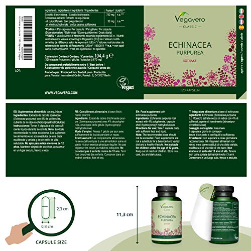 Equinácea Vegavero® | 6000 mg con 4% Polifenoles | La Dosis Más Alta & Sin Aditivos | Alternativa Vegana al Propóleo o la Jalea Rea | 120 Cápsulas