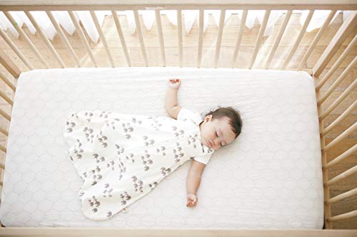 Ergobaby Saco Dormir Bebe Invierno 0-6 Meses Algodón Suave TOG 2.5 Niño Niña, Elephant