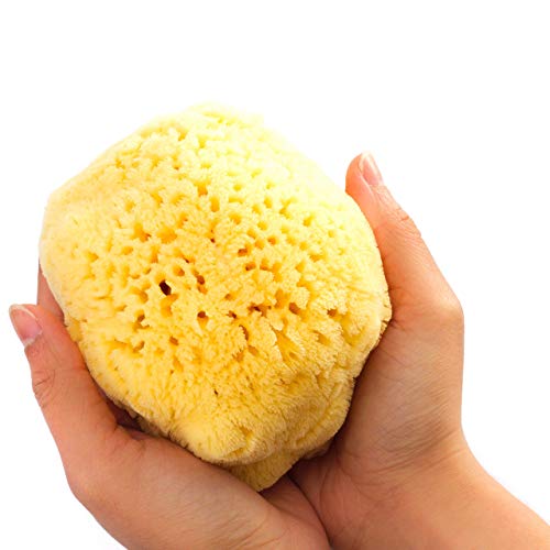 Esponja natural de mar de cuerpo para baño y ducha Zephyr® (esponja grande 12,5-13,5 cm) Esponja baño vegetal - Esponja natural bebe