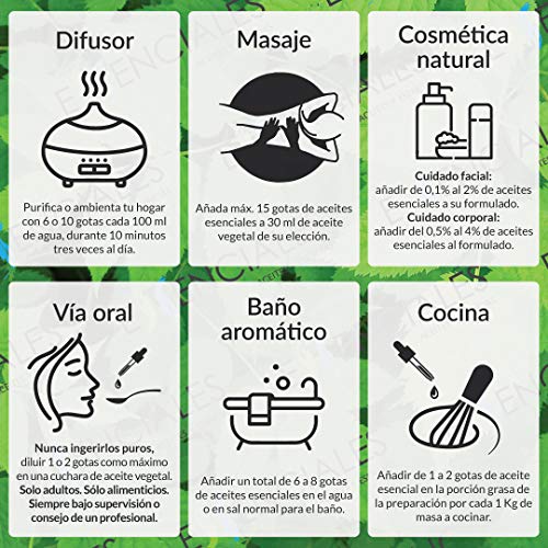 Essenciales - Aceite Esencial de Ravintsara/Alcanforero, 100% Puro, 100 ml | Aceite Esencial Cinnamomum Camphora