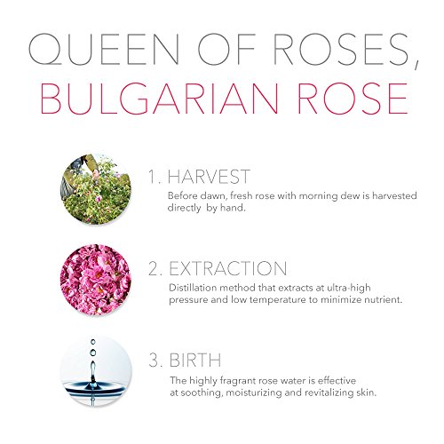 ESSENHERB BULGARIAN ROSE SLEEPING PACK, Providing Moisture to Dry, Droopy Skin. Whitening and Anti-Wrinkle, Hydrating Mask (100ML)