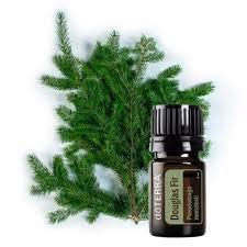 Essential Oil Aceite Esencial doTERRAMalongoa Douglas Fir 5 ML + Envío estándar Gratuito de Malasia