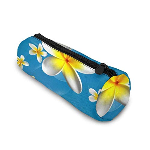 Estuche de lápices AOOEDM/bolso cosmético, bolso de lápiz simple elegante de los efectos de escritorio de la lona del jazmín