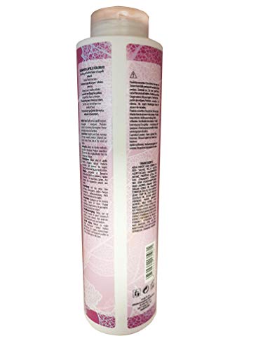 Etolab - Champú para cabello teñido con semillas de lino, proteínas de seda y aceite de macadamia (2x500 ml)