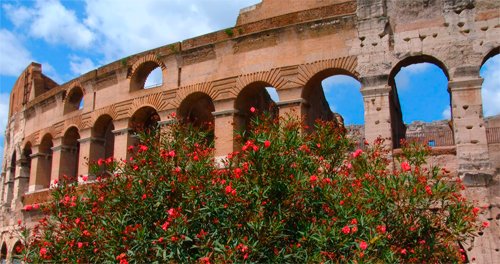 Europa (+ 4K Ultra HD-Blu-ray) [Blu-ray]