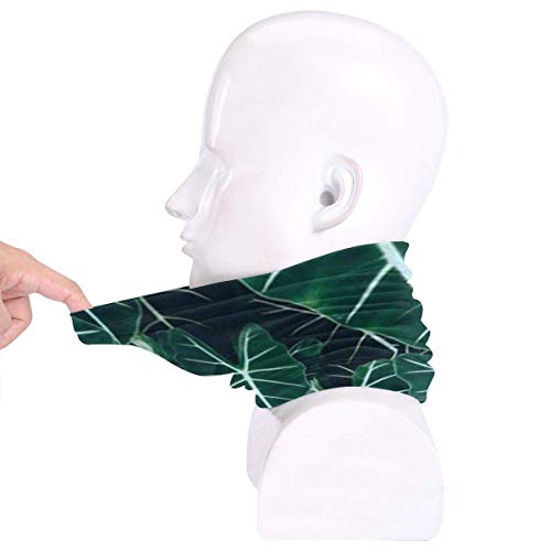 Ewtretr Leaves Winter Fleece Neck Polaina Calentador de cuello Mascarilla al aire libre