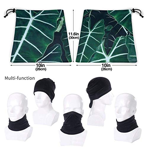 Ewtretr Leaves Winter Fleece Neck Polaina Calentador de cuello Mascarilla al aire libre