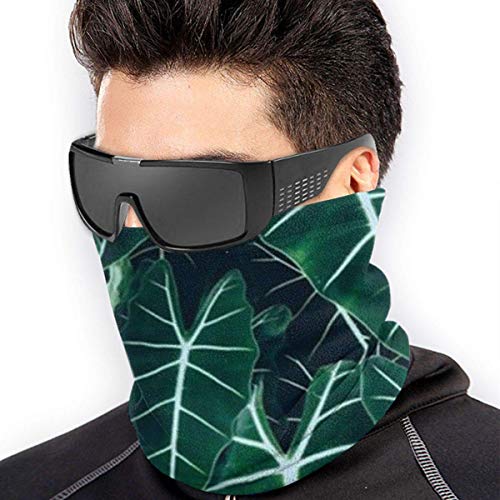 Ewtretr Leaves Winter Fleece Neck Polaina Calentador de cuello Mascarilla al aire libre