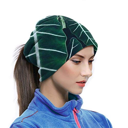 Ewtretr Leaves Winter Fleece Neck Polaina Calentador de cuello Mascarilla al aire libre